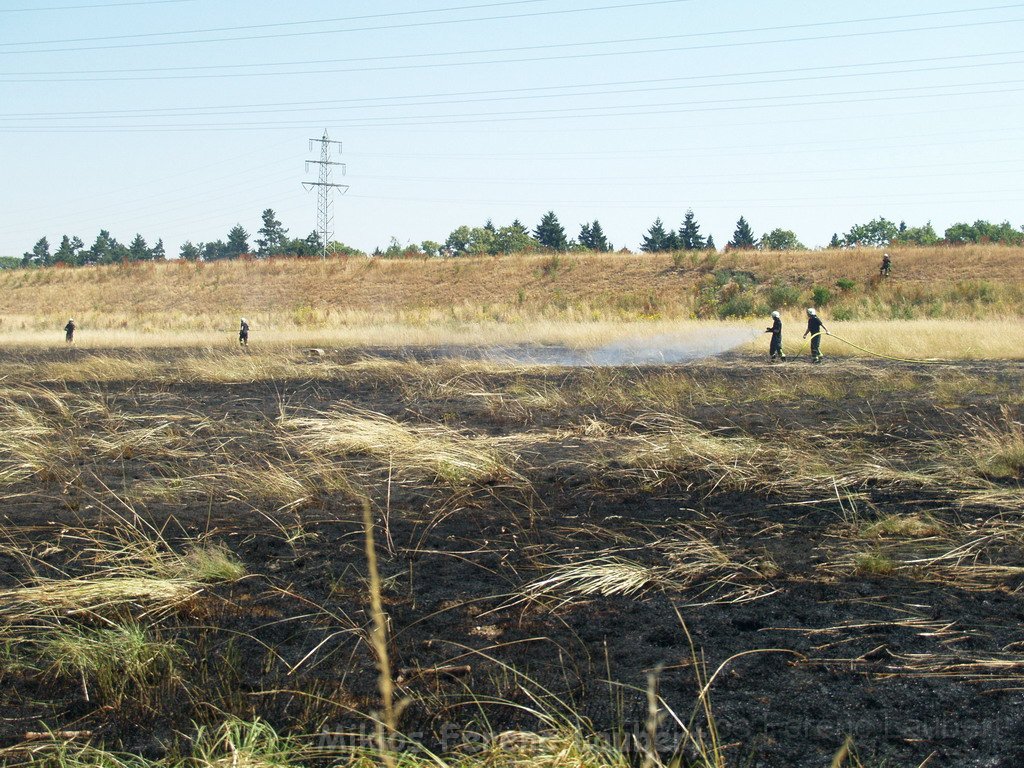 Bodenfeuer Koeln Merheim Merheimer Heide P22.JPG